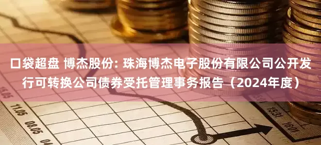 口袋超盘 博杰股份: 珠海博杰电子股份有限公司公开发行可转换公司债券受托管理事务报告（2024年度）