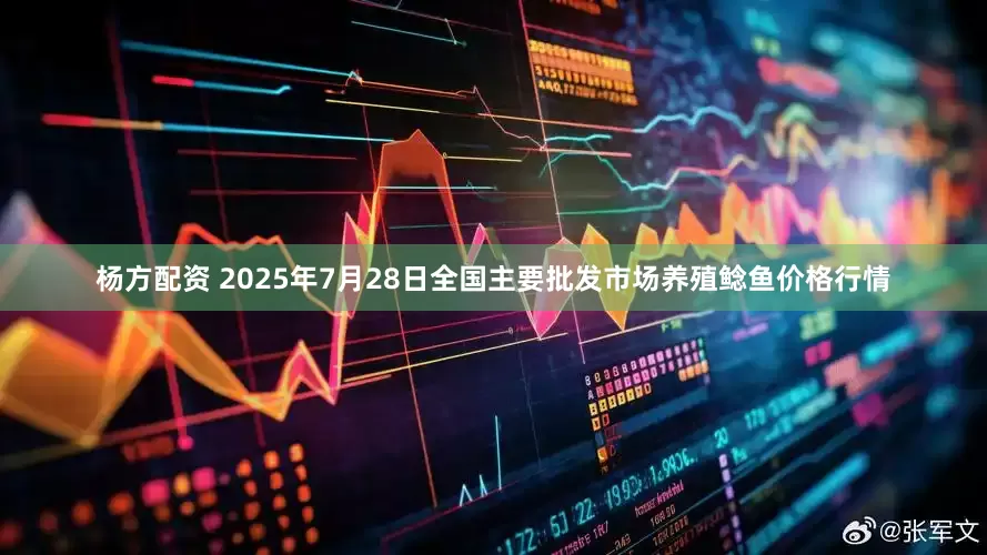 杨方配资 2025年7月28日全国主要批发市场养殖鲶鱼价格行情