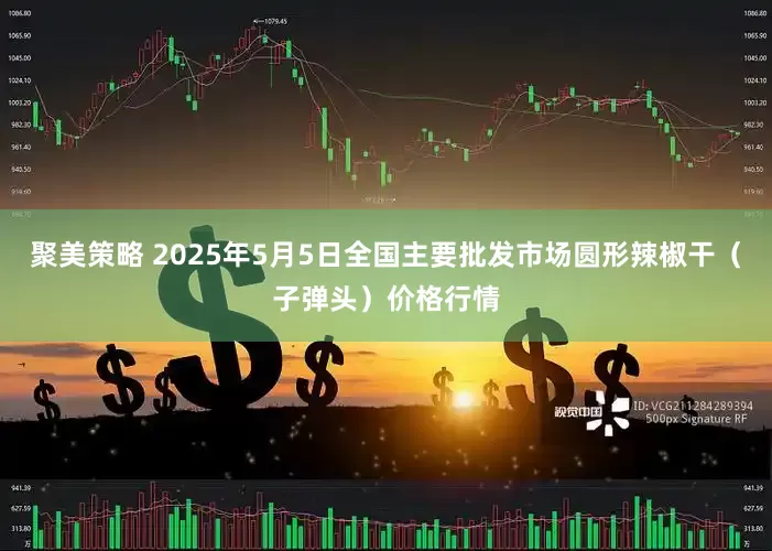 聚美策略 2025年5月5日全国主要批发市场圆形辣椒干（子弹头）价格行情