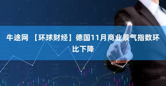 牛途网 【环球财经】德国11月商业景气指数环比下降